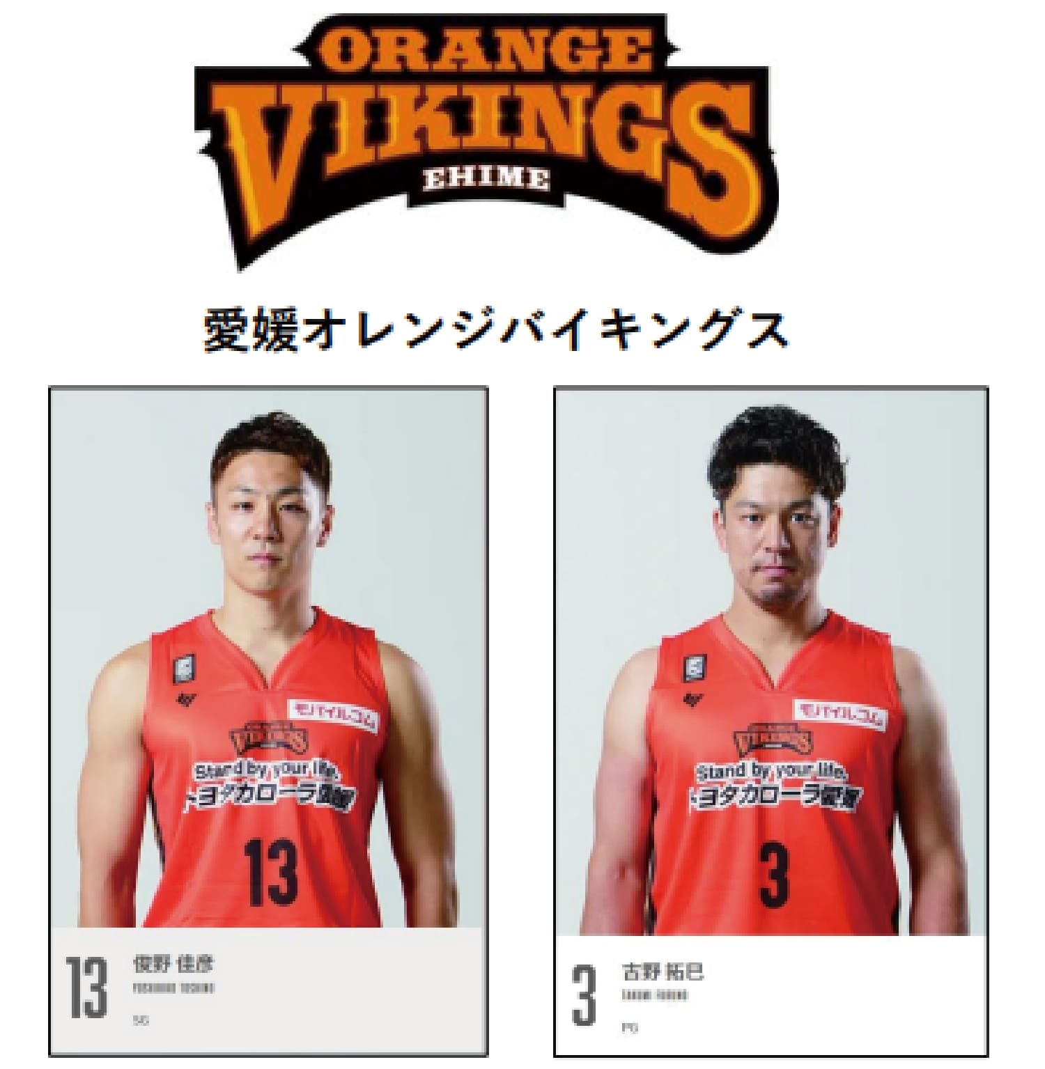愛媛オレンジバイキングス